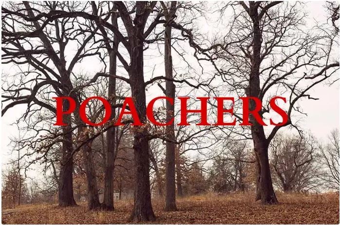 Poachers
