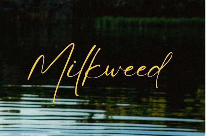 Milkweed