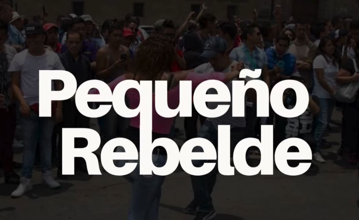 Pequeño Rebelde