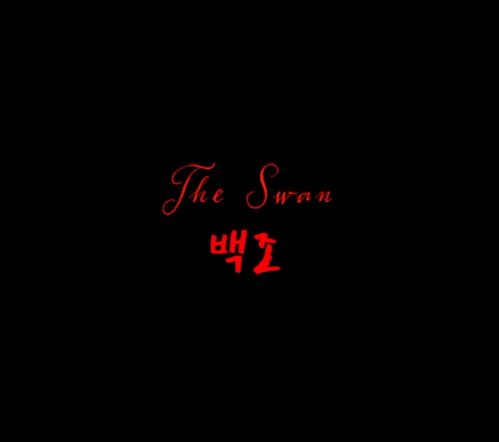 The Swan